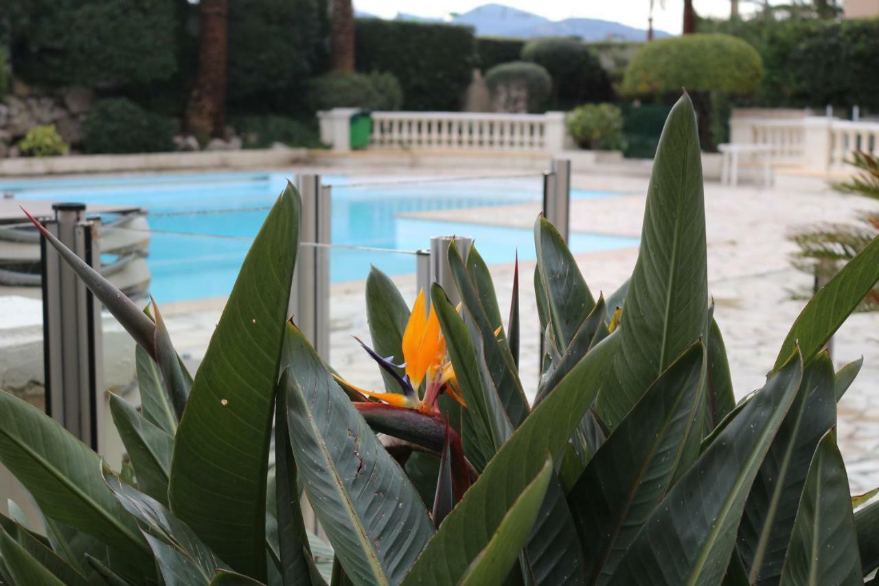 Appartement Palm D'Azur Cannes Dış mekan fotoğraf
